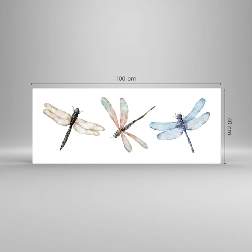 Impression sur verre - Image sur verre - Libellules en apesanteur - 100x40 cm