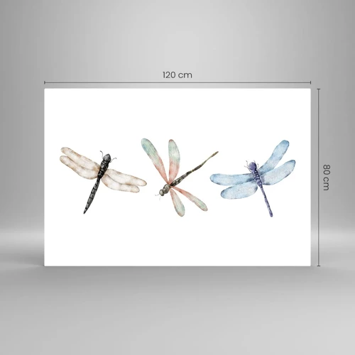 Impression sur verre - Image sur verre - Libellules en apesanteur - 120x80 cm