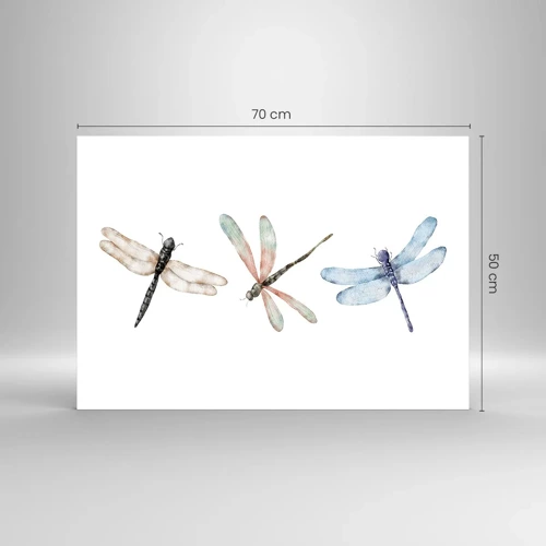 Impression sur verre - Image sur verre - Libellules en apesanteur - 70x50 cm