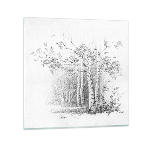 Impression sur verre - Image sur verre - Lumière d'une forêt de bouleaux - 60x60 cm