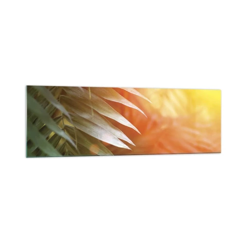 Impression sur verre - Image sur verre - Matinée dans la jungle - 160x50 cm