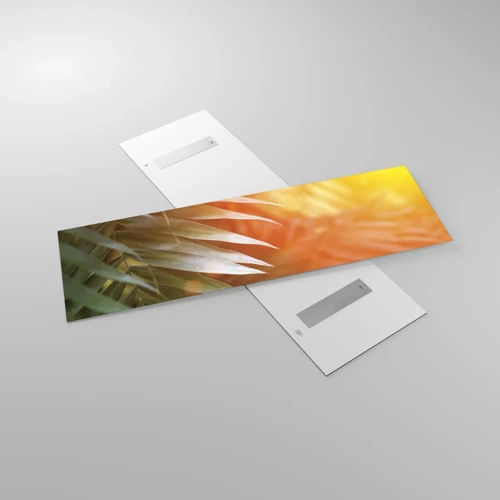 Impression sur verre - Image sur verre - Matinée dans la jungle - 160x50 cm