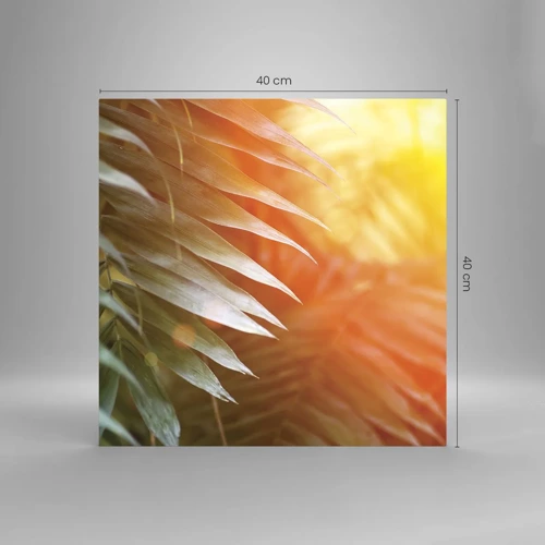 Impression sur verre - Image sur verre - Matinée dans la jungle - 40x40 cm