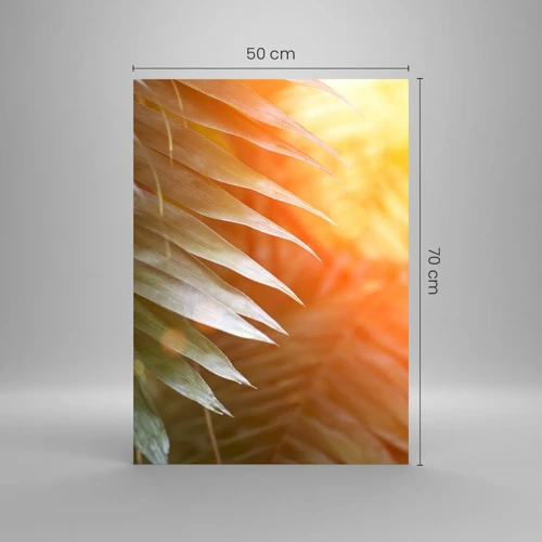 Impression sur verre - Image sur verre - Matinée dans la jungle - 50x70 cm