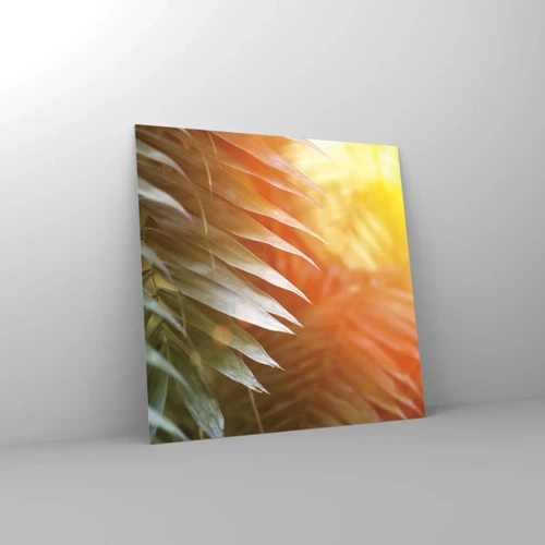 Impression sur verre - Image sur verre - Matinée dans la jungle - 70x70 cm