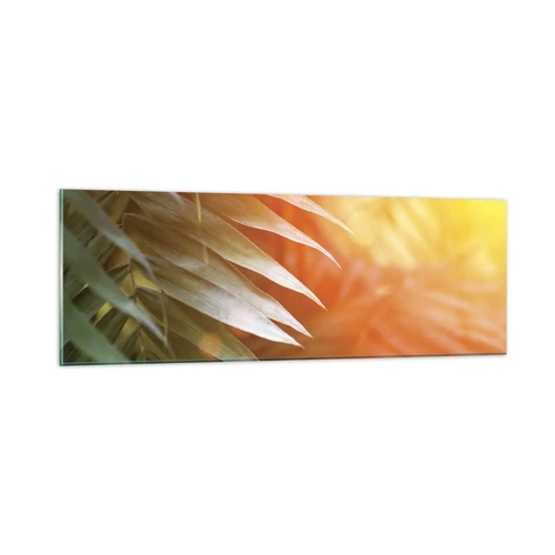Impression sur verre - Image sur verre - Matinée dans la jungle - 90x30 cm