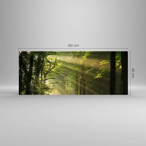 Impression sur verre - Image sur verre - Moment de forêt - 100x40 cm