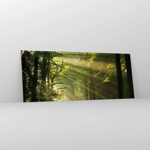 Impression sur verre - Image sur verre - Moment de forêt - 100x40 cm