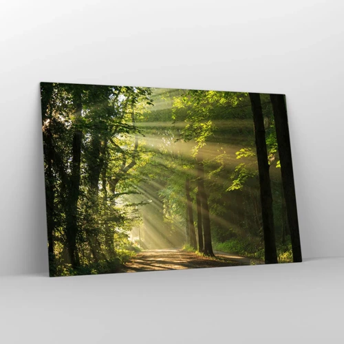 Impression sur verre - Image sur verre - Moment de forêt - 120x80 cm