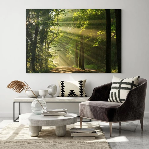 Impression sur verre - Image sur verre - Moment de forêt - 120x80 cm