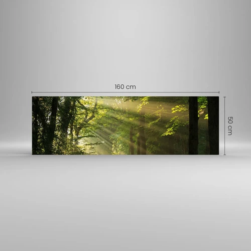 Impression sur verre - Image sur verre - Moment de forêt - 160x50 cm