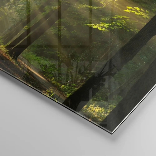 Impression sur verre - Image sur verre - Moment de forêt - 50x50 cm