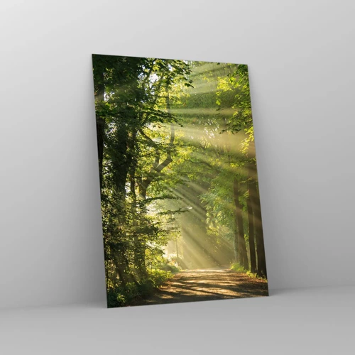 Impression sur verre - Image sur verre - Moment de forêt - 50x70 cm