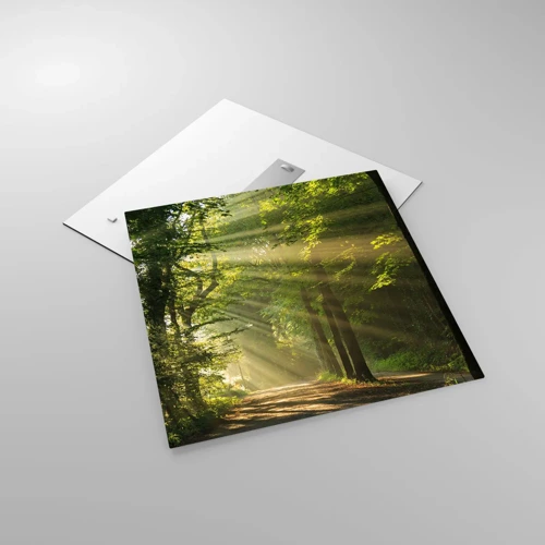 Impression sur verre - Image sur verre - Moment de forêt - 60x60 cm