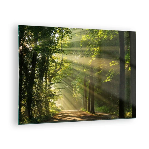 Impression sur verre - Image sur verre - Moment de forêt - 70x50 cm