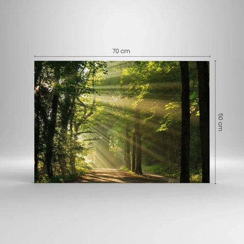 Impression sur verre - Image sur verre - Moment de forêt - 70x50 cm