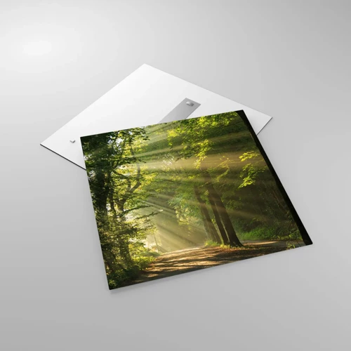 Impression sur verre - Image sur verre - Moment de forêt - 70x70 cm