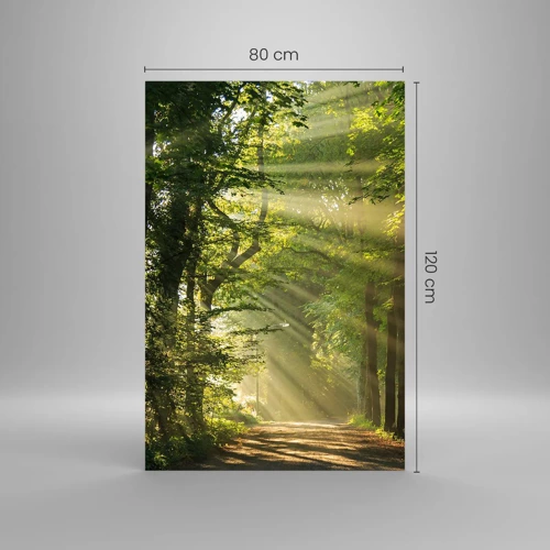Impression sur verre - Image sur verre - Moment de forêt - 80x120 cm