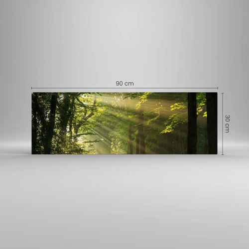 Impression sur verre - Image sur verre - Moment de forêt - 90x30 cm