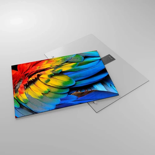 Impression sur verre - Image sur verre - Oiseau de paradis - 70x50 cm