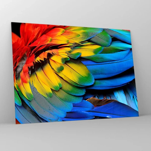 Impression sur verre - Image sur verre - Oiseau de paradis - 70x50 cm