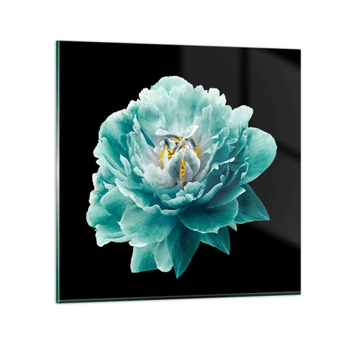 Impression sur verre - Image sur verre - Pétales bleus et dorés - 50x50 cm
