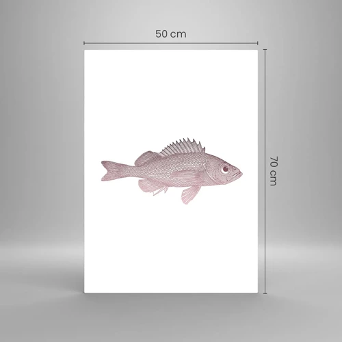 Impression sur verre - Image sur verre - Poisson aux grands yeux - 50x70 cm