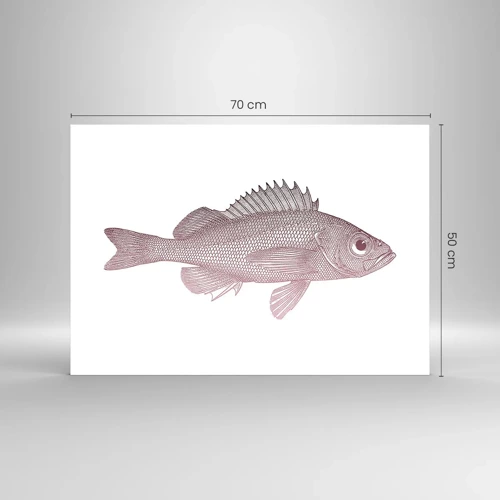 Impression sur verre - Image sur verre - Poisson aux grands yeux - 70x50 cm