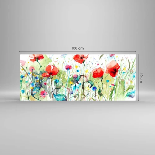 Impression sur verre - Image sur verre - Prairie de fleurs en mai - 100x40 cm