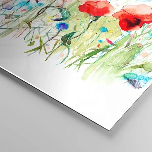 Impression sur verre - Image sur verre - Prairie de fleurs en mai - 100x40 cm