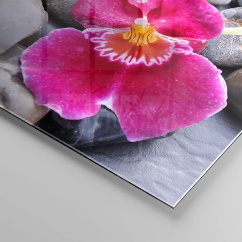 Impression sur verre - Image sur verre - Refroidir et chauffer - 70x70 cm