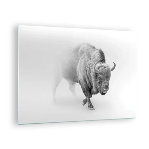 Impression sur verre - Image sur verre - Roi de la prairie - 70x50 cm