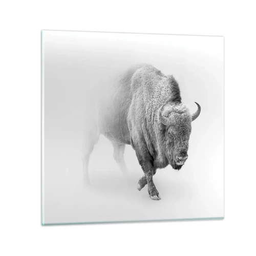 Impression sur verre - Image sur verre - Roi de la prairie - 70x70 cm