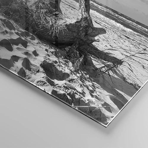 Impression sur verre - Image sur verre - Sculpture marine - 50x50 cm