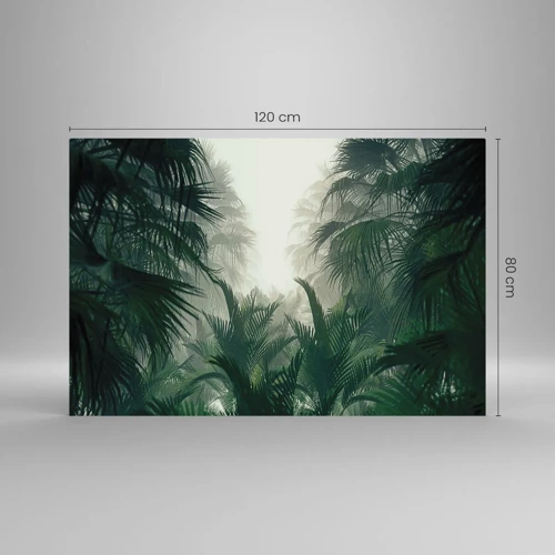 Impression sur verre - Image sur verre - Secret tropical - 120x80 cm