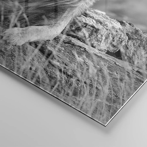 Impression sur verre - Image sur verre - Sieste royale - 60x60 cm