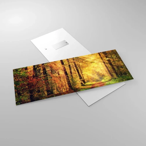 Impression sur verre - Image sur verre - Silence d'or en forêt - 100x40 cm
