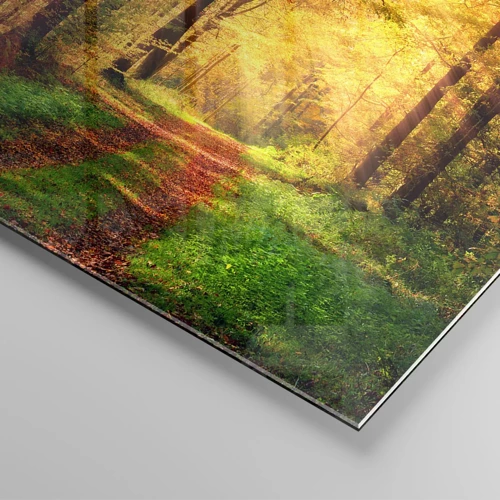 Impression sur verre - Image sur verre - Silence d'or en forêt - 60x60 cm