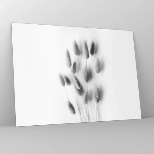 Impression sur verre - Image sur verre - Son herbe duveteuse - 70x50 cm