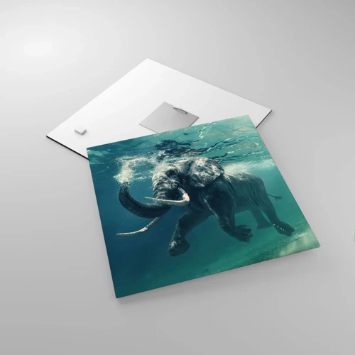 Impression sur verre - Image sur verre - Tout le monde aime nager - 30x30 cm
