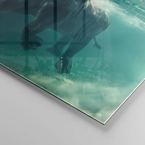 Impression sur verre - Image sur verre - Tout le monde aime nager - 40x40 cm