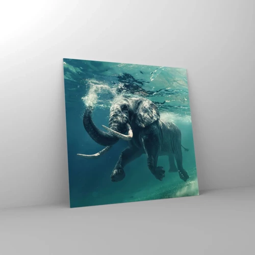 Impression sur verre - Image sur verre - Tout le monde aime nager - 60x60 cm