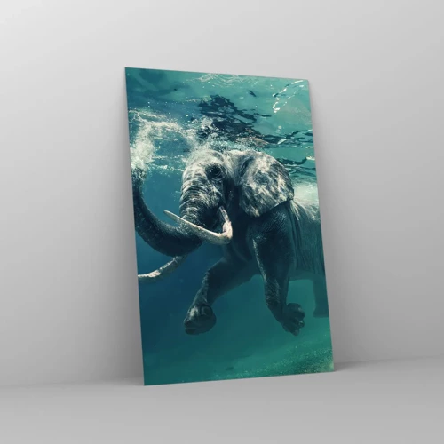 Impression sur verre - Image sur verre - Tout le monde aime nager - 80x120 cm