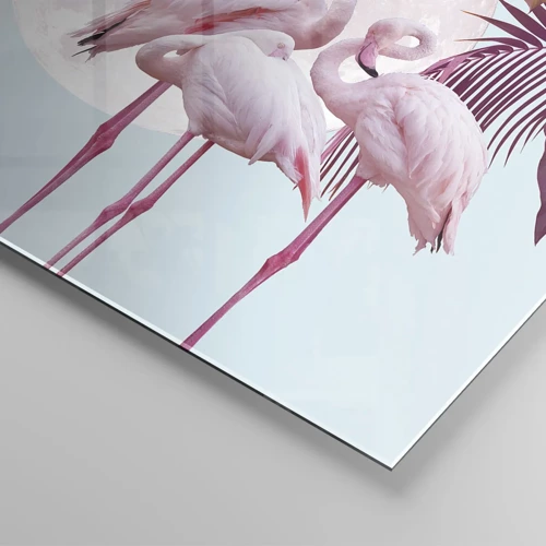 Impression sur verre - Image sur verre - Trois oiseaux gracieux - 100x40 cm