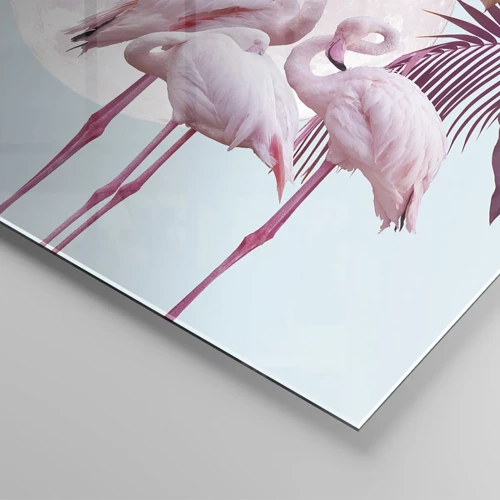 Impression sur verre - Image sur verre - Trois oiseaux gracieux - 160x50 cm