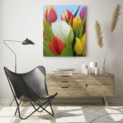 Impression sur verre - Image sur verre - Un arc-en-ciel fleuri en gouttes de rosée - 50x70 cm