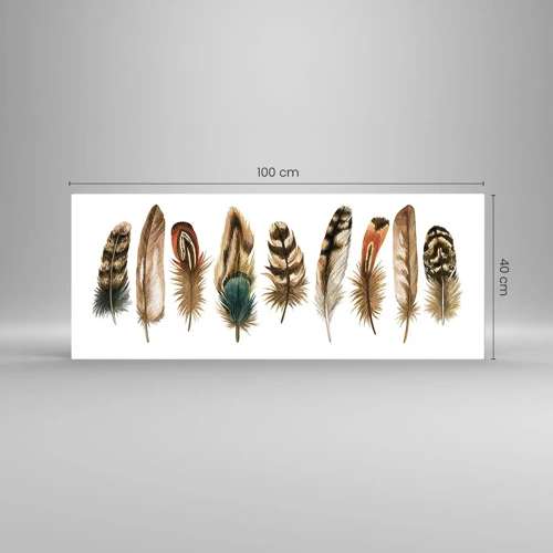 Impression sur verre - Image sur verre - Variation à plumes - 100x40 cm