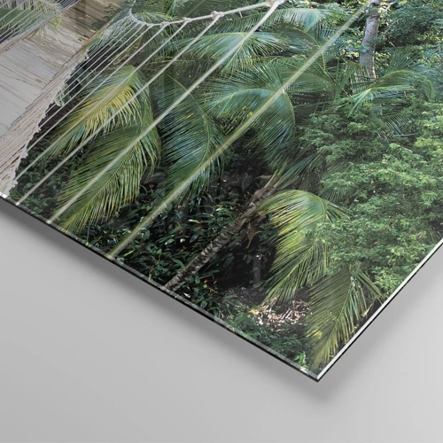 Impression sur verre - Image sur verre - Welcome to the jungle! - 100x40 cm