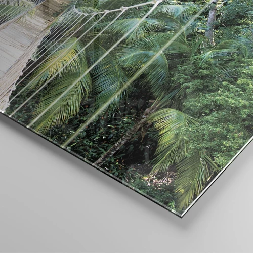 Impression sur verre - Image sur verre - Welcome to the jungle! - 60x60 cm