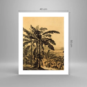 Affiche - Poster - Dans un climat colonial - 40x50 cm